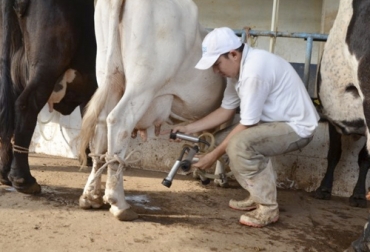 La caída de la producción de leche ha generado que varios alimentos terminen por reducir su fabricación, uno de estos es la disminución en la elaboración de quesos. Foto: debate.com.mx Ganadería, ganadería colombia, Ganadería colombiana, CONtexto ganadero, noticias ganaderas, noticias ganaderas colombia, producción leche, producción leche méxico, producción leche sinaloa, productores sinaloa, disminución produccion leche, productores mexicanos, falta de comida ganado mexico, ganaderos colombia, ganaderos