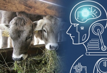 La inteligencia artificial juega en papel importante para la seguridad alimentaria pero debe aprovecharse de manera ética y responsable. Foto: ia-latam.com - perulactea.com FAO, inteligencia artificial, Tecnología, papa francisco, sector agropecuario, agricultura, alimentación, agroalimentario, digital, competencias, nuevas tecnologías, satélites, sensores, aplicaciones móviles, cadenas, plagas, enfermedades, Ganadería, ganadería colombia, noticias ganaderas colombia, CONtexto ganadero.