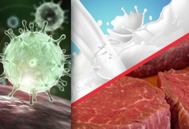 La propagación del virus ha ocasionado un declive en la economía china, influyendo al sector de comercio de carne y leche. Foto: canal2tv.com - michiganradio.org Coronavirus 2020, coronavirus China 2020, exportación carne México, Exportación carne China, importación carne China, Coronavirus humano, Coronavirus bovino, Virus en bovinos enfermedades de los bovinos, Coronarivus Colombia, Tratamiento para el coronavirus bovino, Corovinarus, CONtexto ganadero, ganaderos colombia, noticias ganaderas colombia