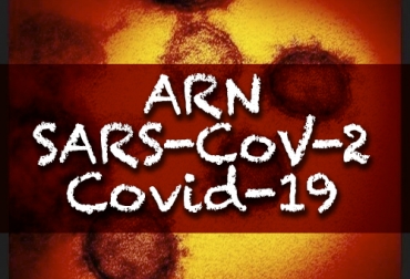 Hay que diferenciar entre el nombre del virus (SARS-CoV-2), un virus de material genético de ARN, y la enfermedad (Covid-19). Foto: espanol.medscape.com Ganadería, ganadería colombia, noticias ganaderas, noticias ganaderas colombia, CONtexto ganadero, coronavirus, COVID-19, términos coronavirus, SARS-CoV-2, nCov-19, Coronavirus 2020, coronavirus Colombia, ácido ribonucleico, ARN, virus ARN, coronavirus ARN, Alfredo Miroli, explicación sobre el coronavirus, coronavirus pánico, coronavirus grave