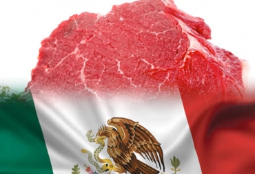 La producción de carne de res aumento 2,4 % en 2019 en comparación con 2018. Foto: 2000agro.com.mx. Ganadería, ganadería colombia, noticias ganaderas, noticias ganaderas colombia, CONtexto ganadero, méxico, carne, carne México, producción de carne en méxico, crecimiento producción de carne, exportaciones de carne mexicana