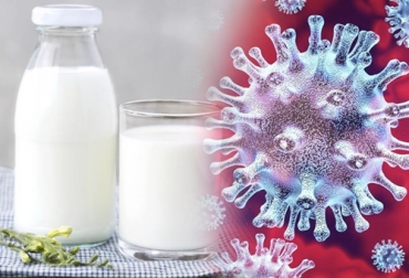 Los sectores lácteos están a la expectativa, pero confían en que el mercado se recuperará pronto. Foto: elpais.com - lineauno.pe Coronavirus 2020, coronavirus China 2020, precio internacional leche, precios lácteos, lácteos Estados Unidos, lácteos Nueva Zelanda, dairy United States 2020, dairy New Zealand 2020, Coronavirus humano, Coronavirus bovino, Virus en bovinos enfermedades de los bovinos, Coronarivus Colombia, Tratamiento para el coronavirus bovino, Corovinarus, CONtexto ganadero, ganaderos colombia, noticias ganaderas colombia