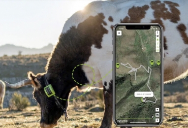 Por medio de herramientas tecnológicos, los ganaderos en España pueden tener un monitoreo permanente de sus animales y de los aspectos que más les interesan. Foto: fontagro.org sensores, localización, GPS, Tecnología, satélite, vacas, Terneros, España, Digitanimal, monitoreo, cencerro, digital, alertas, temperatura, Robo, partos, celular, información, herramientas, FAO, Ganadería, ganadería colombia, noticias ganaderas colombia, CONtexto ganadero