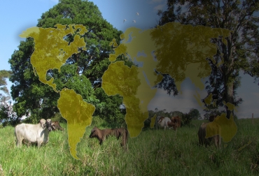 En varios países del mundo, propietarios de ganado bovino, profesionales y asociaciones adelantan trabajos en pro de una ganadería más amigable con el medio ambiente. Foto: Fedegán - Freepik.es Ganadería Sostenible, Australia, Nueva Zelanda, argentina, Ecuador, España, ganadería sostenible Colombia, Ganadería regenerativa, ganadería amigable con el medio ambiente, ejemplos de ganadería sostenible en el mundo, árboles ganadería, ganadería rentable y regenerativa, ganadería regenerativa Colombia, Ganadería, sostenible, Colombia, CONtexto ganadero, ganaderos colombia, noticias ganaderas colombia