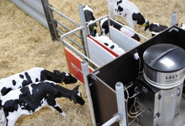 Por medio de una nodriza artificial se logran menores costos y mayores rendimientos, según estudio. Foto: lely.com nodriza, mecánica, automatización, alimentador, alimento, leche, vacas, terneros, amamantar, dosificación, agua, lácteos, costos, crianza, eficiencia, consumo, ganadería, ganadería colombia, noticias ganaderas colombia, contexto ganadero.
