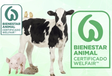 Los sellos de bienestar animal son una garantía de la trazabilidad del producto y por eso son importantes en un mercado que se fija cada vez más en estos aspectos. Foto: agromeat.com - rumiantes.com sellos, Bienestar Animal, calidad, Trazabilidad, maltrato, carne, leche, certificado, consumidor, alimentación, descanso, limpieza, sanitario, lesiones, matadero, Envases, Ganadería, ganadería colombia, noticias ganaderas colombia, CONtexto ganadero.