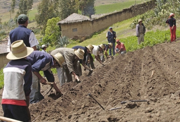 La medida busca apoyar la agricultura familiar afectada por el coronavirus. Foto: gob.pe. Ganadería, ganadería colombia, noticias ganaderas, noticias ganaderas colombia, CONtexto ganadero, Perú, familias campesinas de perú, agricultura familiar perú, subsidios perú, ministerio de agricultura de perú