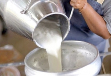 Hoy los productores mexicanos están vendiendo su leche a la mitad del precio para evitar mayores pérdidas. Foto: puentelibre.mx Ganadería, ganadería colombia, noticias ganaderas, noticias ganaderas colombia, CONtexto ganadero, méxico, productores lechero, lechero, lecheros México, precio leche, precio leche méxico, coronavirus, COVID-19, ganaderos México, crisis económica, ganaderos, ganaderos colombia