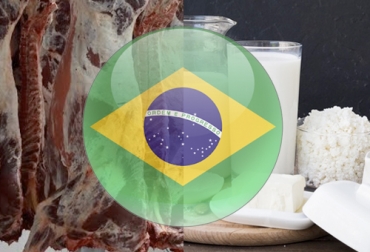 En Brasil los productos lácteos se han desplomado debido al cierre comercial producido por la pandemia. Foto: freepik.es / freepik - freeflagicons.com - Youtube.com - Ruta Ganadera Ganadería, ganadería colombia, noticias ganaderas, noticias ganaderas colombia, CONtexto ganadero, exportaciones brasil, exportaciones lácteas brasil, baja importaciones brasil, baja importaciones lácteas brasil, productos lácteos importados, productos lacteos importados brasil, devalución brasil, carne Brasil, exportaciones carne brasil, aumento exportaciones carne brasil, ganaderos brasil ganaderos colombia, ganaderos