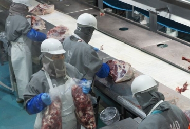 México exporta a China carne de res y de cerdo congelada que se manda por barco, la idea es enviar el producto fresco, refrigerado y en avión. Foto: emprefinanzas.com.mx Ganadería, ganadería colombia, noticias ganaderas, noticias ganaderas colombia, CONtexto ganadero, méxico, carne México, producción carne méxico, envío de carne de méxico a china, exportación de carne méxico, SENASICA