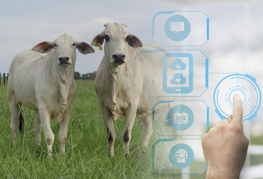 Los productores de Brasil han tenido que recurrir a la tecnificación para continuar con su labor del campo. Foto: Creado por creativeart / freepik.es - diariolaeconomia.com Ganadería, ganadería colombia, noticias ganaderas, noticias ganaderas colombia, CONtexto ganadero, ganaderos, ganaderos colombia, brasil, ganaderos brasil, sector agropecuario brasil, digitalización brasil, digitalización campo brasil, tecnificación brasil, campo tecnificado en brasil