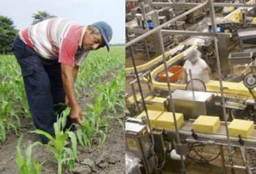 El plan en el que trabaja la industria y el agro de Argentina está encaminado en las exportaciones. Foto: defrentealcampo.com.ar - perfil.com Ganadería, ganadería colombia, noticias ganaderas, noticias ganaderas colombia, CONtexto ganadero, ganaderos, ganaderos colombia, ganaderos argentinos, industria argentina, agro argentina, acuerdo industria y agro en argen tina, reactivación económica en argentina, sector agropecuario en Argentina, exportaciones en argentina, crisis agropecuaria en argentina