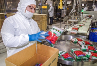 La vigilancia sanitaria que posee México es una de las más exigentes del continente. Foto: ndlnoticias.com. Ganadería, ganadería colombia, noticias ganaderas, noticias ganaderas colombia, CONtexto ganadero, secretario de Agricultura y Desarrollo Rural, Víctor Villalobos Arámbula, Sader. Día del Médico Veterinario Zootecnista, sistema nacional de vigilancia y control sanitario, Peste Porcina Africana, coordinador general de Ganadería de la Sader, David Montreal Ávila