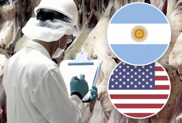 Argentina es uno de los países que se ha visto beneficiado con la pandemia porque sus exportaciones de carne a Estados Unidos han crecido de manera importante en lo corrido del año. Foto: minutodecierre.com - countryflags.com - uokpl.rs argentina, carne, exportaciones, estados unidos, cuota, Ministerio de Agricultura, Ganadería y Pesca, reapertura de mercado, Senasa, ganaderos, frigoríficos, Ganadería, ganadería colombia, noticias ganaderas colombia, CONtexto ganadero