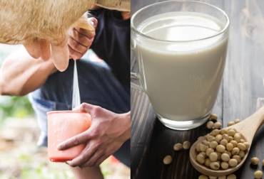 La universidad recomienda no seguir usando la soya para convertirla en leche. Foto: Dashu83 / freepik.es - jcomp / freepik.es Ganadería, ganadería colombia, noticias ganaderas, noticias ganaderas colombia, CONtexto ganadero, leche, leche de soya, leche de vaca, leche de vaca universidad de nottingham, qué dice la universidad de nottingham sobre la leche de vaca, calidad leche de soya, leche de soya contamina el ambiente, leche de vaca mejor para el medio ambiente, Sustainable Food Trust, Sustainable Food Trust cow milk