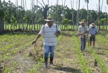 El IICA identificó los principales problemas que afectan a los productores rurales durante la pandemia como la falta de elementos de protección, la comercialización y el transporte, entre otros. Foto: amanecerrural.com.ar Iica, productores rurales, Alimentos, cereales, carnes, Pandemia, coronavirus, equipos de protección, transporte, comercialización, crédito, cosechas, protocolos sanitarios, reactivación, Ganadería, ganadería colombia, noticias ganaderas colombia, CONtexto ganadero.