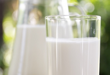 Diversos aspectos del bienestar animal son claves para que haya una mejor producción de leche y en unas condiciones que tienen más aceptación entre los consumidores actuales. Foto: Creada por zirconicusso/freepik.es Bienestar Animal, comederos, bebederos, camas, vacas, lechería, instalaciones, hato, descanso, ordeño, zona de descanso, condiciones ambientales, Ganadería, ganadería colombia, noticias ganaderas colombia, CONtexto ganadero