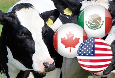 Las autoridades sanitarias de Estados Unidos, Canadá y México están unidas para proteger la producción pecuaria de la región. Foto: pngbarn.com - bmeditores.mx estados unidos, Canadá, méxico, protección, Producción pecuaria, Comité de Salud Animal de América del Norte, lineaminetos, Salud Animal, inocuidad, problemas sanitarios, Ganadería, ganadería colombia, noticias ganaderas colombia, CONtexto ganadero