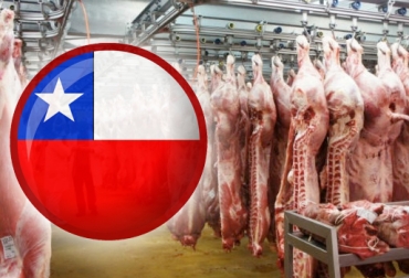 La apertura permitirá recuperar un mercado que en 2019 importó más de un millón de toneladas de carne de diversas naciones. Foto: Foto: www.unionpuebla.mx. Ganadería, ganadería colombia, noticias ganaderas, noticias ganaderas colombia, CONtexto ganadero, Chile, carne colombiana a chile, exportaciones de carne colombiana, importaciones de carne en chile, chile colombia, ICA, fedegan, fedegán colombia, SAG, sag chile