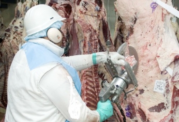 La industria de frigoríficos pide al gobierno señales claras como la baja de retenciones a la carne bovina. Foto: ipcva.com.ar Ganadería, ganadería colombia, noticias ganaderas, noticias ganaderas colombia, CONtexto ganadero, industria carne, industria carne en argentina, industria frigoríficos, industria frigoríficos argentina, carne vacuna en argentina, reclamos industria carne gobierno argentina