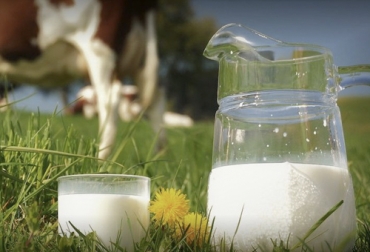 En el mercado europeo sólo se podrá usar el rótulo de leche en los alimentos que contengan este producto fruto de los animales y no de los vegetales. Foto: eurovacas.com Parlamento Europeo, leche, soya, lácteos, etiqueta, queso, yogur, origen animal, denominación, protegidos, uso comercial, engaño, consumidor, Ganadería, ganadería colombia, noticias ganaderas colombia, CONtexto ganadero