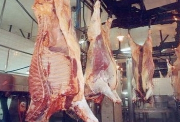El Departamento de Agricultura de los Estados Unidos (USDA) presentó sus proyecciones del comercio y la producción mundial de carne para 2021 donde se observa un relativo estancamiento como consecuencia de lo sucedido en el presente año. Foto: agrositio.com.ar USDA, exportaciones, importaciones, China, Brasil, argentina, Australia, carne vacuna, cerdo, pollo, COVID-19, recuperación económica, demanda, Alimentos, Ganadería, ganadería colombia, noticias ganaderas colombia, CONtexto ganadero
