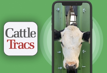 Desde hace más de un año, la compañía Black Hereford Holdings está desarrollando esta app empleando inteligencia artificial y otras herramientas. Foto: cattletracs.com Aplicación Reconocimiento facial vacas, ganado bovino, CattleTracs, mooofarm, facial recognition, tecnología de reconocimiento facial de vacas, reconocimiento facial de las vacas para medir estado de salud, nueva tecnología de reconocimiento facial de vacas, ganaderos, ganaderos colombia, ganado, bovinos, Ganadería, ganadería colombia, noticias ganaderas, noticias ganaderas colombia, CONtexto ganadero, contextoganadero