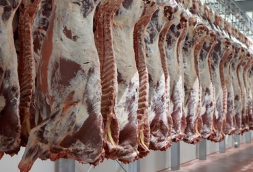 Aunque noviembre fue un buen mes para las exportaciones de carne de Estados Unidos, el acumulado de los once meses resultó negativo tanto en volumen como en valor. Foto: vacunodeelite.es exportaciones, carne vacuno, estados unidos, méxico, centroamérica, Japón, China, Federación de Exportación de Carne de EE.UU., Alimentos, COVID-19, canales minoristas, Carne de cerdo, Ganadería, ganadería colombia, noticias ganaderas colombia, CONtexto ganadero
