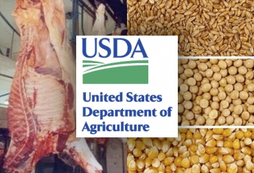 El informe trimestral del USDA de enero hace previsiones sobre el 2021 en materia de distintos productos agropecuarios. Foto: pregonagropecuario.com - agrositio.com.ar - usda.gov Producción carne vacuna 2021, exportaciones carne 2021, producción grano 2021, producción maíz 2021, producción soya 2021, producción carne 2021, exportaciones maíz, exportaciones soya, producción carne de res en Estados Unidos, producción carne de res en el mundo, ganaderos, ganaderos colombia, ganado, bovinos, ganado bovino, Ganadería, ganadería colombia, noticias ganaderas, noticias ganaderas colombia, CONtexto ganadero, contextoganadero