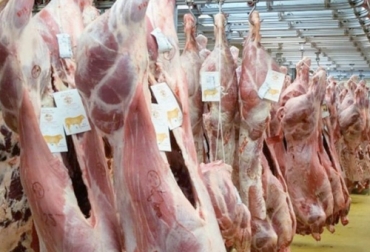 Una de las razones por las cuales Nicaragua logra exportar carne a Estados Unidos es porque tiene un sistema de trazabilidad que permite conocer el origen y proceso que ha tenido este alimento. Foto: laprensa.com.ni Trazabilidad, nicaragua, exportaciones, carne bovina, estados unidos, Europa, frigoríficos, productividad, calidad, cortes, cabezas de ganado, hato, áreas protegidas, consumidores, Praderas, sombra, silvopastoril, Marca País, Ganadería, ganadería colombia, noticias ganaderas colombia, CONtexto ganadero
