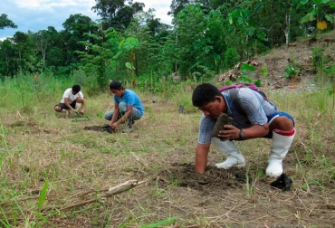 El manejo forestal sostenible del bosque tropical garantiza cadenas de valor virtuosas que generan ingresos. Foto: gob.pe. Ganadería, ganadería colombia, noticias ganaderas, noticias ganaderas colombia, CONtexto ganadero, Perú, bosques, bosques perú, cuidado de los bosques en perú, manejo sostenible de los bosques, manejo sostenible de los bosques en perú