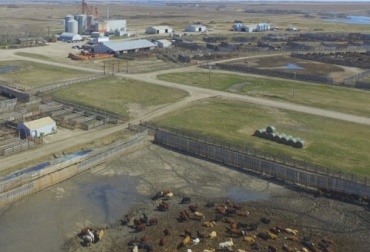 Una vista aérea de las instalaciones de Pound-Maker Agventures, una ganadería canadiense que hace casi 30 años le apostó a producir etanol con granos de destilería que luego ofrecen a los bovinos. Foto: pound-maker.ca Ganadería y etanol, empresa ganadera produce etanol, Pound Maker Canadá, ganadería canadiense produce etanol, alimentación animal etanol, granos de destilería, granos destilería alimentación ganado bovino, DDGS, coproductos del etanol para alimentación animal, granos destilería ganado bovino, subproductos alimentación bovina, Suplementación Bovina, ganaderos, ganaderos colombia, ganado, vacas, vacas Colombia, bovinos, ganado bovino, Ganadería, ganadería colombia, noticias ganaderas, noticias ganaderas colom