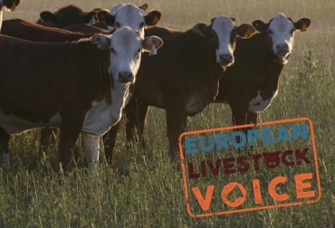 El grupo de profesionales que representa al sector ganadero en los países miembros de la UE advirtió que la eliminación de la ganadería y la carne de res no resolverá la crisis climática. Foto: Cortesía European Livestock Voice, EUV, la Voz de la Ganadería Europea), Carne natural vs. carne artificial, ganadería carne natural, ganadería carne artificial, beneficios de la ganadería bovina, beneficios de carne natural, beneficios de la carne bovina, ganadería bovina, carne cultivada, desventajas de la carne artificial, desventajas carne cultivada, retos ganadería frente a la carne artificial, carne sintética no ayuda al cambio climático, ganaderos, ganaderos colombia, ganado, vacas, vacas Colombia, bovinos, g