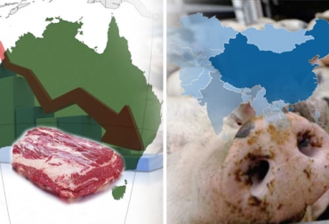 La caída de las exportaciones en Australia y los nuevos brotes de PPA en Asia son dos factores que inciden en el comercio internacional de la carne. Foto: ganadosycarnes.com - mapamundial.co - infopork.com - pngaaa.com carne, cerdo, Producción, Peste Porcina Africana, China, exportaciones, importaciones, FAO, Asia, Vietnam, exportaciones carne Australia 2021, Australia bovinos 2021, Australia ganado bovino 2021, hato ganadero en Australia, hato ganado bovino Australia 2021, Australia, carne australiana, Nueva cepa de peste porcina africana en China 2021, cepa PPA, cepa peste porcina africana, peste porcina africana en China 2021, ganaderos, ganaderos colombia, ganado, vacas, vacas Colombia, bovinos, Ganadería, ganadería c