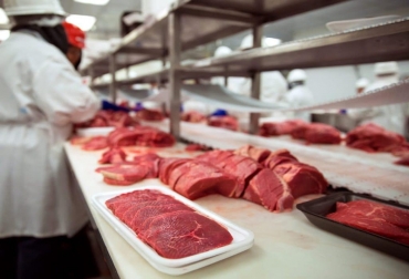 El año pasado se produjeron 2.1 millones de toneladas de carne de bovino a nivel nacional. Foto: porcicultura.com Ganadería, ganadería colombia, noticias ganaderas, noticias ganaderas colombia, CONtexto ganadero, méxico, producción ganadera en méxico, carne México, consumo de carne en méxico, incremento del consumo de carne en méxico