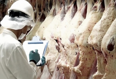Ante las elevadas exportaciones, el Gobierno argentino decretó un registro de exportaciones, algo que para la industria frigorífica es similar a un instrumento que causó graves perjuicios al sector hace más de 10 años. Foto: eleconomista.com.ar Exportaciones carne Argentina 2021, exportaciones carne argentina, industria frigorífica Argentina, industria cárnica Argentina, gobierno Argentina, gobierno Alberto Fernández, registro para exportadores de carne en argentina, requisitos registro exportaciones de carne, productos cárnicos argentinos, ganaderos, ganaderos colombia, ganado, vacas, vacas Colombia, bovinos, Ganadería, ganadería colombia, noticias ganaderas, noticias ganaderas colombia, CONtexto ganadero, contextoganadero