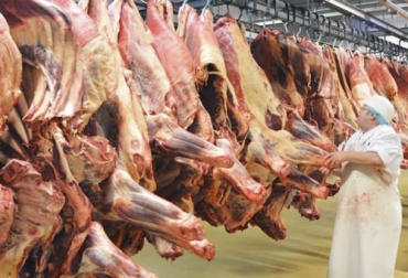 Las exportaciones de carne bovina de Paraguay superaron las 111 000 toneladas por cerca de 500 millones de dólares en los primeros 4 meses de 2021, una cifra récord. Foto: hoy.com.py carne paraguay, exportaciones carne paraguay, exportaciones carne bovina Paraguay 2021, exportaciones carne Paraguay 2021, exportaciones carne Paraguay cuatrimestre 2021, exportaciones carne bovina, ganadería Paraguay, exportaciones carne, carne bovina paraguay, ganaderos, ganaderos colombia, ganado, vacas, vacas Colombia, bovinos, Ganadería, ganadería colombia, noticias ganaderas, noticias ganaderas colombia, CONtexto ganadero, contextoganadero