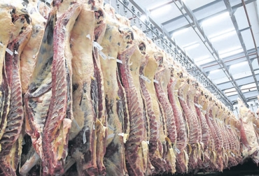 En 2022 Rusia aumentará los aranceles para la importación de carne de 76 países porque quiere estimular la producción nacional. Foto: rurales.elpais.com.uy carne, Rusia, Paraguay, Brasil, Uruguay, aranceles, preferencias, exportaciones, menudencias acceso, cuotas, inac, Unión Económica Euroasiática, carne bovina enfriada, carne bovina congelada, producción local, importaciones, Bielorrusia, argentina, mercado alternativo, Ganado criollo, sanmartinero, Pasto, Ganadería, ganadería colombia, noticias ganaderas colombia, CONtexto ganadero