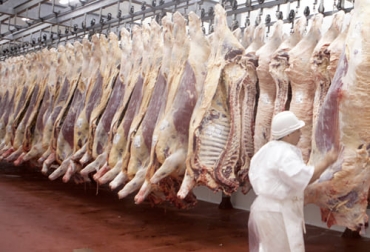 Una de las propuestas es aumentar la producción para que haya 3 millones de toneladas de carne para el consumo local. Foto: Ganadería, ganadería colombia, noticias ganaderas, noticias ganaderas colombia, CONtexto ganadero, argentina, carne Argentina, cortes de carne argentina, exportaciones de carne argentina, restricciones a las exportaciones de carne en argentina, ganadería Argentina, cortes que no puede exportar argentina
