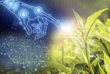 Compañías como Vodafone están participando en proyectos agrícolas como la sensorización de bodegas. Foto: elconfidencial.com - computerhoy.com - xataca.com Ganadería, ganadería colombia, noticias ganaderas, noticias ganaderas colombia, CONtexto ganadero, internet de las cosas, internet de las cosas en agricultura, agricultura, monitoreo de cultivos con inteligencia artificial, vigilancia de cultivos con internet de las cosas