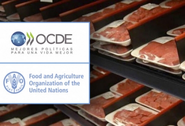 La producción mundial de carne seguirá creciendo hacia el año 2030 y en el caso de la de vacuno el aumento será cercano al 6 % según estimaciones de la FAO y la OCDE. Foto: carnica.cdecomunicacion.es - tvn-2.com Producción, carne, demanda, res, cerdo, aves, ovino, FAO, OCDE, China, peste porcina, eficiencia productiva, peso promedio de sacrificio, mejoramiento de la cría, formulaciones de alimento, consumo, proteínas cárnicas, precios, Pandemia, COVID-19, Asia, Oriente Próximo, importaciones, exportaciones, enfermedades, restricciones sanitarias, políticas comerciales, ingresos, Ganadería, ganadería colombia, noticias ganaderas colombia, CONtexto ganadero