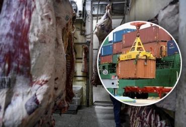 Los frigoríficos exportadores de Argentina estarían suspendiendo faenas o reduciendo jornadas de trabajo porque tienen stocks de carne acumulados. Foto: agrositio.com.ar - elpais.com Consecuencias suspensión exportaciones carne Argentina, Exportaciones carne Argentina 2021, exportaciones carne argentina, Australia, precio ganado, industria cárnica Argentina, gobierno Argentina, gobierno Alberto Fernández, precio mundial del ganado, precio vacas 2021, suspensión exportaciones carne Argentina 2021, ganado bovino, ganadería bovina, ganaderos, ganaderos colombia, ganado, vacas, vacas Colombia, bovinos, Ganadería, ganadería colombia, noticias ganaderas, noticias ganaderas colombia, CONtexto