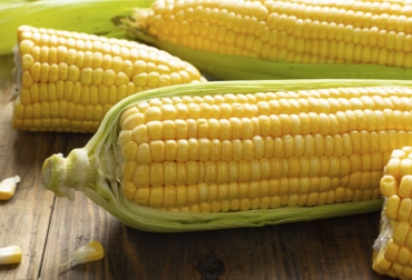 El precio del maíz en Estados Unidos seguirá al alza, por encima de los 5 o 6 dólares por bushel, según el grupo S&P Global Platts. Foto: freepik.es/fotos/comida creado por jcomp Precio maíz 2021, precio maíz julio 2021, maíz, soya, carne de pollo, concentrados, alimentos balanceados, precio maíz Colombia, Costos de Producción, lechería, materias primas, USDA, estados unidos, Verano, demanda, dólar, mercados internacionales, ganado bovino, ganadería bovina, ganaderos, ganaderos colombia, ganado, vacas, vacas Colombia, bovinos, Ganadería, ganadería colombia, noticias ganaderas, noticias ganaderas colombia, CONtexto ganadero, contextoganadero