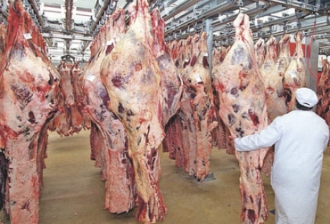 Los analistas de Rabobank revelaron que el comercio mundial de la carne bovina ha sido impactado por las cuotas de exportación de Argentina y el resurgimiento de casos de covid por la variante delta. Foto: ganadosycarnes.com Perspectivas mercado mundial de carne 2021, Beef quarterly Rabobank 2021, beef quarterly, comercio mundial de carne de res, producción mundial de carne de res, precio mundial del ganado bovino, precio del ganado en Argentina, precio del ganado en Brasil, ganado bovino, ganadería bovina, carne, leche, ganaderos, ganaderos colombia, ganado, vacas, vacas Colombia, bovinos, Ganadería, ganadería colombia, noticias ganaderas, noticias ganaderas colombia, CONtexto ganadero, contextoganadero