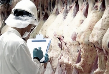 De acuerdo con el artículo, la "crisis de las exportaciones de carne" de Argentina es producto de la crisis económica que están atravesando desde 2018. Foto: neuquen24horas.com Extienden suspensión exportaciones carne Argentina, Exportaciones carne Argentina 2021, exportaciones carne argentina, Australia, restricciones exportaciones carne Argentina, industria cárnica Argentina, gobierno Argentina, gobierno Alberto Fernández, suspensión exportaciones carne Argentina 2021, ganado bovino, ganadería bovina, carne, leche, ganaderos, ganaderos colombia, ganado, vacas, vacas Colombia, bovinos, Ganadería, ganadería colombia, noticias ganaderas, noticias ganaderas colombia, CONtexto ganade