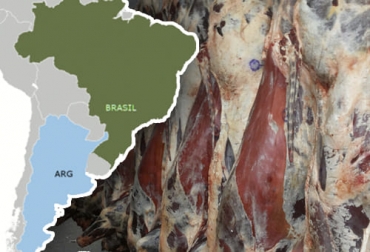 Ante un menor suministro de carne bovina por parte de Brasil y Argentina, los compradores chinos podrían optar por la proteína de Estados Unidos. Foto: logisticapress.com - ganaderia.com Comercio internacional de carne bovina, exportaciones de carne de res en el mundo, exportaciones carne, Brasil, Argentina, Estados Unidos, Nueva Zelanda, Australia, importaciones de carne de res de China, mercado mundial de carne, ganado bovino, ganadería bovina, carne, leche, ganaderos, ganaderos colombia, ganado, vacas, vacas Colombia, bovinos, Ganadería, ganadería colombia, noticias ganaderas, noticias ganaderas colombia, CONtexto ganadero, contextoganadero