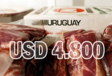 Los precios de exportación de la carne uruguaya han alcanzado valores de 4.800 y 5.000 dólares por tonelada siendo récord para la comercialización del alimento. Foto: campolider.com precio de la carne, exportación, Uruguay, argentina, China, Instituto Nacional de la Carne, restricciones, cepo, gobierno, demanda, productores, novillos, faena, sacrificio, proveedor, Brasil, Australia, vaca loca, vaca conserva, políticas, largo plazo, dólares, invierno, Ganadería, ganadería colombia, noticias ganaderas colombia, CONtexto ganadero