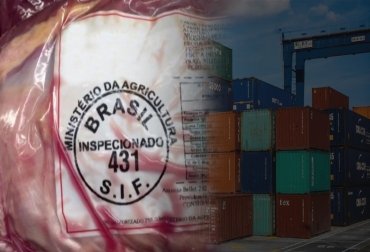Después de la restricción impuesta a Brasil por casos de vaca loca, el mercado de China volvió a recibir un contenedor de carne del país suramericano. Foto:: agrolatam.com - jscargologistic.com Brasil, China, mercado, carne, precios, Reapertura, vaca loca, contenedor, autorizaciones, bloqueo, Shanghái, embarques, Matto Grosso, Mina Gerais, Tocantins, Ministerio de Agricultura, Cancillería, negocios, pérdidas, Confederación de Agricultura y Ganadería, riesgo insignificante, consumo humano, Organización Mundial de Sanidad Animal, Ganadería, ganadería Colombia, noticias ganaderas Colombia, CONtexto ganadero