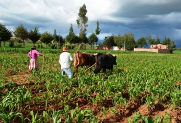 El trabajo de México lo ha llevado ubicar el séptimo lugar mundial como exportador agroalimentario, con ventas a 192 países. Foto: revistalacampina.mx Ganadería, ganadería colombia, noticias ganaderas, noticias ganaderas colombia, CONtexto ganadero, méxico, mexico 2022, agro mexico 2022, producción agropecuaria en méxico, crecimiento agro mexico, producción agrícola en méxico