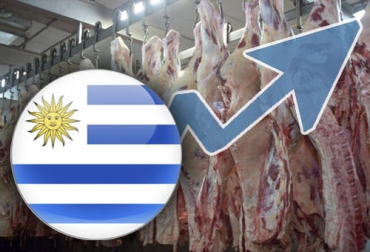 Uruguay aprovechó la situación de países como Argentina que restringió sus exportaciones, para ganar mercados y lograr las cifras récord de 2021. Foto: rurales.elpais.com.uy - emojipng.com - pngwing.com Uruguay, exportaciones, carne, record, inac, faena, China, restricciones, aranceles, precio, importaciones, industria, sistema sanitario, stock, ganado en pie, sector primario, Terneros, recría, engorde, logística, corea del sur, Japón, América del Norte, Canadá, estados unidos, lenguas, clima, mercado internacional, Ministerio de Agricultura, TLC, Turquía, Ganadería, ganadería colombia, noticias ganaderas colombia, CONtexto ganadero